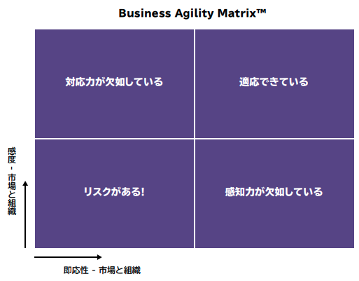 Business Agility Matrix